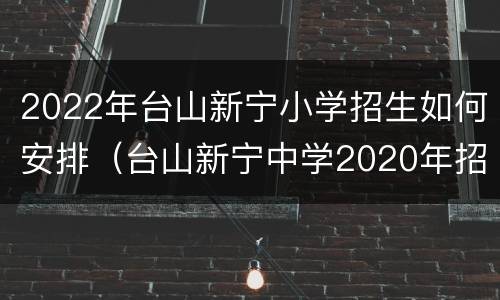 2022年台山新宁小学招生如何安排（台山新宁中学2020年招生）