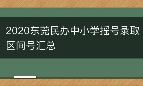 2020东莞民办中小学摇号录取区间号汇总