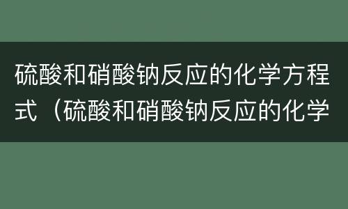 硫酸和硝酸钠反应的化学方程式（硫酸和硝酸钠反应的化学方程式及现象）