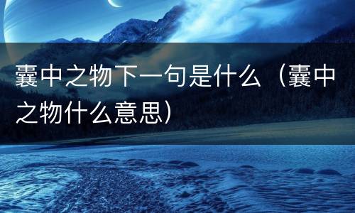 囊中之物下一句是什么（囊中之物什么意思）