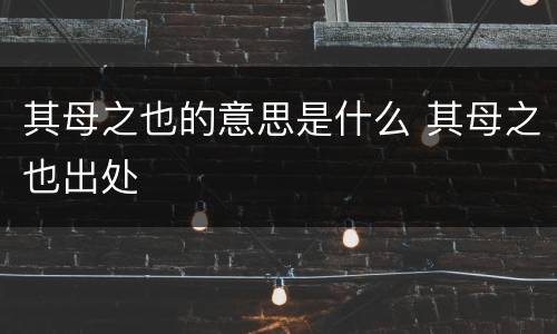 其母之也的意思是什么 其母之也出处