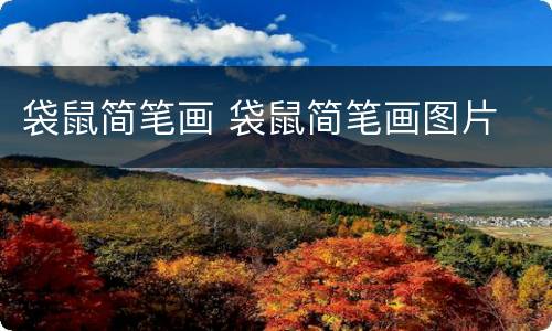 袋鼠简笔画 袋鼠简笔画图片