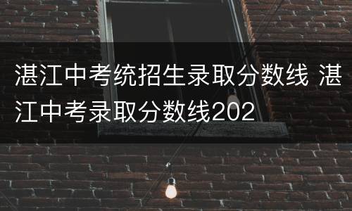 湛江中考统招生录取分数线 湛江中考录取分数线202