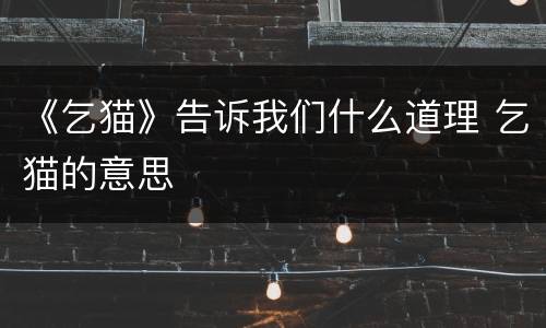 《乞猫》告诉我们什么道理 乞猫的意思