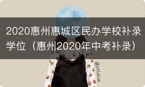 2020惠州惠城区民办学校补录学位（惠州2020年中考补录）