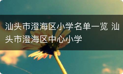 汕头市澄海区小学名单一览 汕头市澄海区中心小学