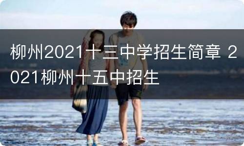 柳州2021十三中学招生简章 2021柳州十五中招生