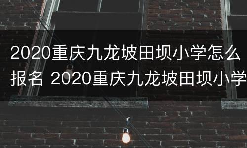 2020重庆九龙坡田坝小学怎么报名 2020重庆九龙坡田坝小学怎么报名的