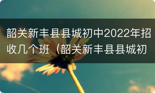 韶关新丰县县城初中2022年招收几个班（韶关新丰县县城初中2022年招收几个班的学生）