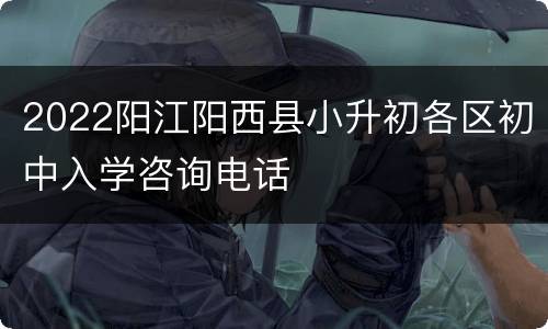 2022阳江阳西县小升初各区初中入学咨询电话