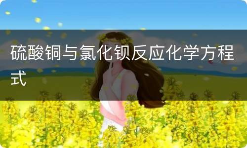 硫酸铜与氯化钡反应化学方程式