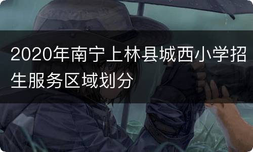 2020年南宁上林县城西小学招生服务区域划分