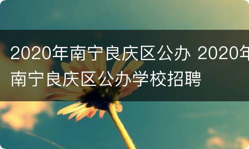 2020年南宁良庆区公办 2020年南宁良庆区公办学校招聘