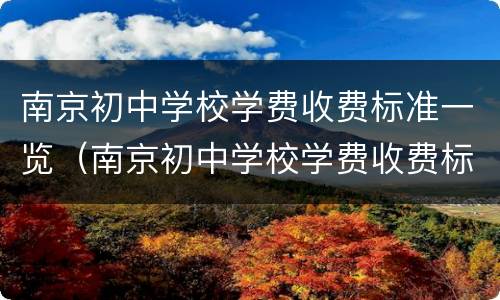 南京初中学校学费收费标准一览（南京初中学校学费收费标准一览表最新）