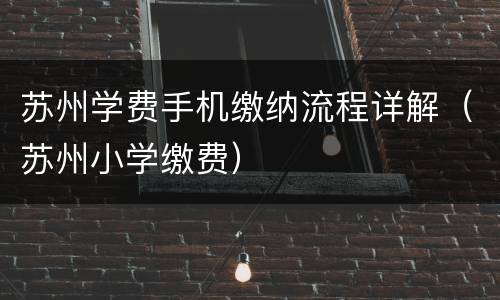 苏州学费手机缴纳流程详解（苏州小学缴费）