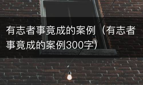 有志者事竟成的案例（有志者事竟成的案例300字）