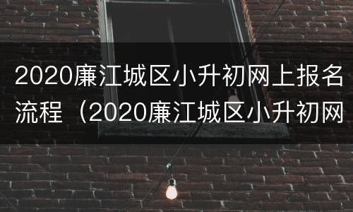 2020廉江城区小升初网上报名流程（2020廉江城区小升初网上报名流程图片）