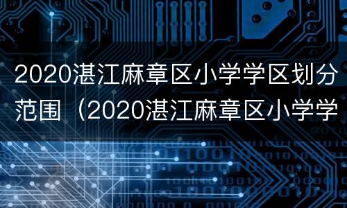 2020湛江麻章区小学学区划分范围（2020湛江麻章区小学学区划分范围表）