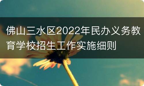 佛山三水区2022年民办义务教育学校招生工作实施细则