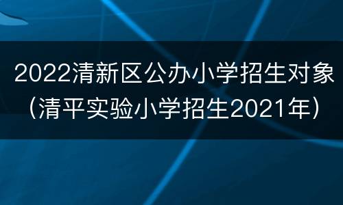 2022清新区公办小学招生对象（清平实验小学招生2021年）