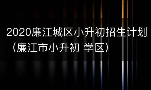 2020廉江城区小升初招生计划（廉江市小升初 学区）
