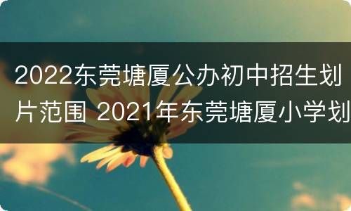 2022东莞塘厦公办初中招生划片范围 2021年东莞塘厦小学划片区