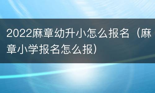 2022麻章幼升小怎么报名（麻章小学报名怎么报）