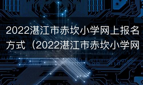 2022湛江市赤坎小学网上报名方式（2022湛江市赤坎小学网上报名方式如何填写）