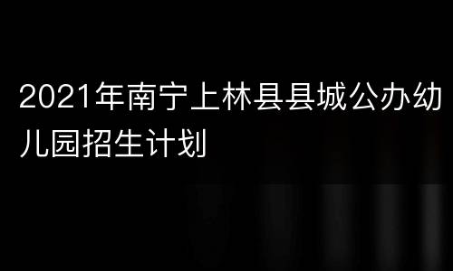 2021年南宁上林县县城公办幼儿园招生计划