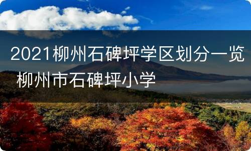 2021柳州石碑坪学区划分一览 柳州市石碑坪小学