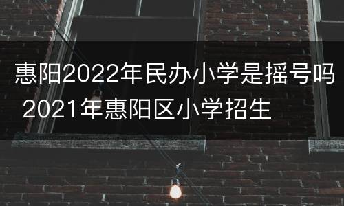 惠阳2022年民办小学是摇号吗 2021年惠阳区小学招生