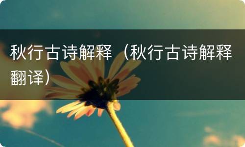 秋行古诗解释（秋行古诗解释翻译）