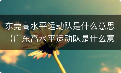 东莞高水平运动队是什么意思（广东高水平运动队是什么意思）