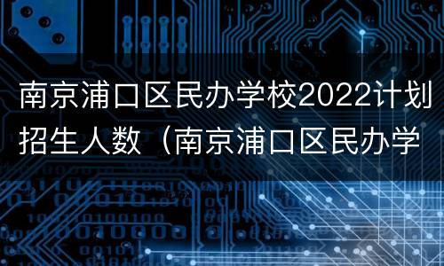 南京浦口区民办学校2022计划招生人数（南京浦口区民办学校2022计划招生人数表）