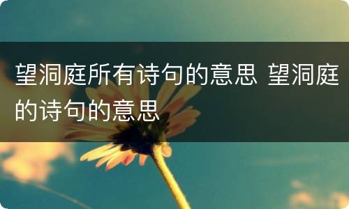 望洞庭所有诗句的意思 望洞庭的诗句的意思