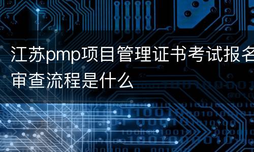江苏pmp项目管理证书考试报名审查流程是什么