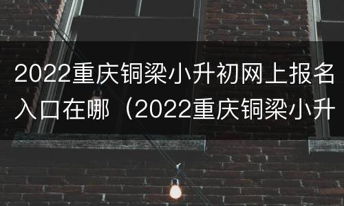 2022重庆铜梁小升初网上报名入口在哪（2022重庆铜梁小升初网上报名入口在哪儿）