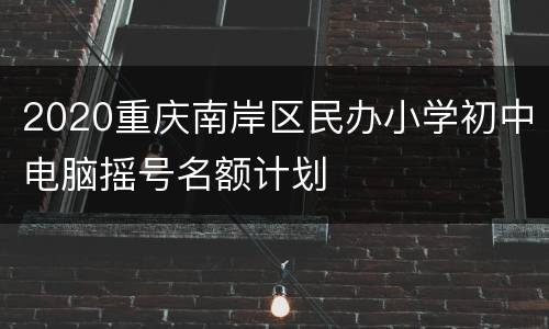 2020重庆南岸区民办小学初中电脑摇号名额计划