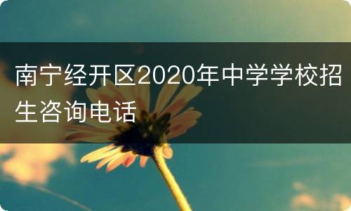南宁经开区2020年中学学校招生咨询电话