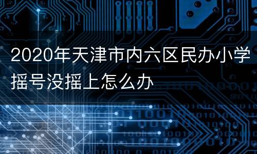 2020年天津市内六区民办小学摇号没摇上怎么办
