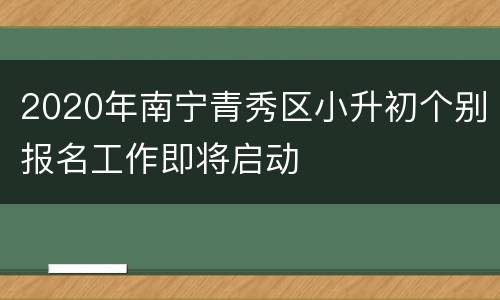 2020年南宁青秀区小升初个别报名工作即将启动