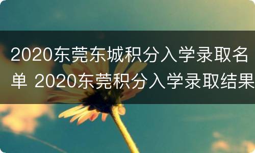 2020东莞东城积分入学录取名单 2020东莞积分入学录取结果