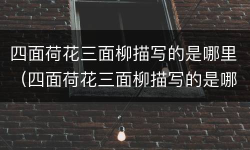 四面荷花三面柳描写的是哪里（四面荷花三面柳描写的是哪里的景色）