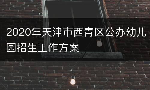 2020年天津市西青区公办幼儿园招生工作方案