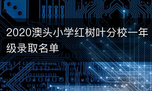 2020澳头小学红树叶分校一年级录取名单