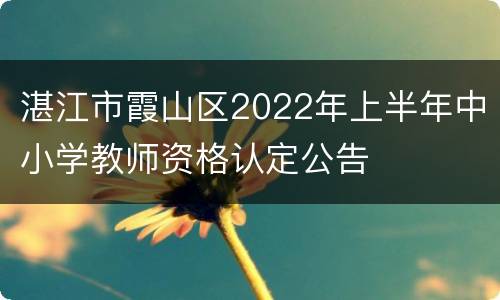 湛江市霞山区2022年上半年中小学教师资格认定公告