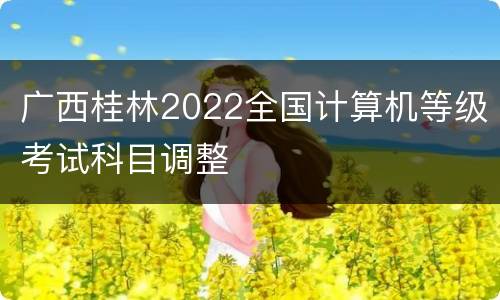 广西桂林2022全国计算机等级考试科目调整