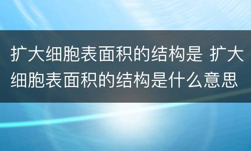 扩大细胞表面积的结构是 扩大细胞表面积的结构是什么意思