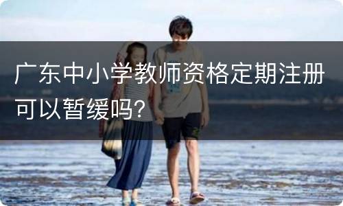 广东中小学教师资格定期注册可以暂缓吗？