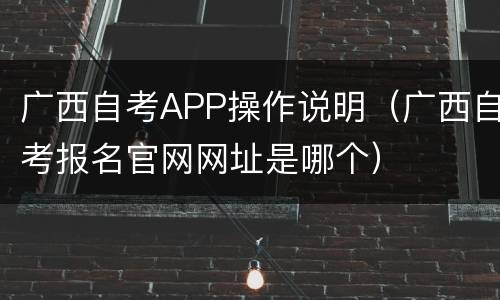 广西自考APP操作说明（广西自考报名官网网址是哪个）